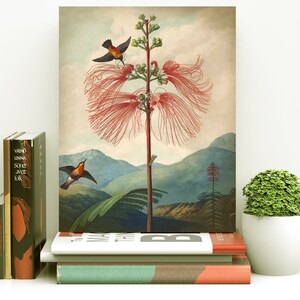 May include: A vintage botanical illustration of a red flowering plant with two hummingbirds perched on the branches. The background features a lush green landscape with mountains in the distance.