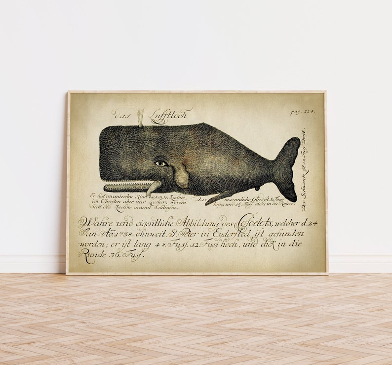 Poster showing a reproduction of an old whale print engraving, there is decorative handwritten text in German