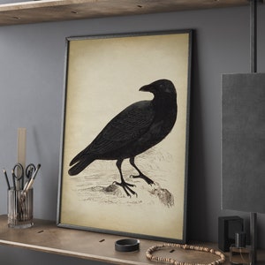 Black Raven Print, vintage aesthetic, black Crow art print, Bird, Gothic Decor, fall decor, winter Wall Art image 5