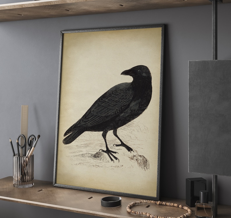 Black Raven Print, vintage aesthetic, black Crow art print, Bird, Gothic Decor, fall decor, winter Wall Art image 5