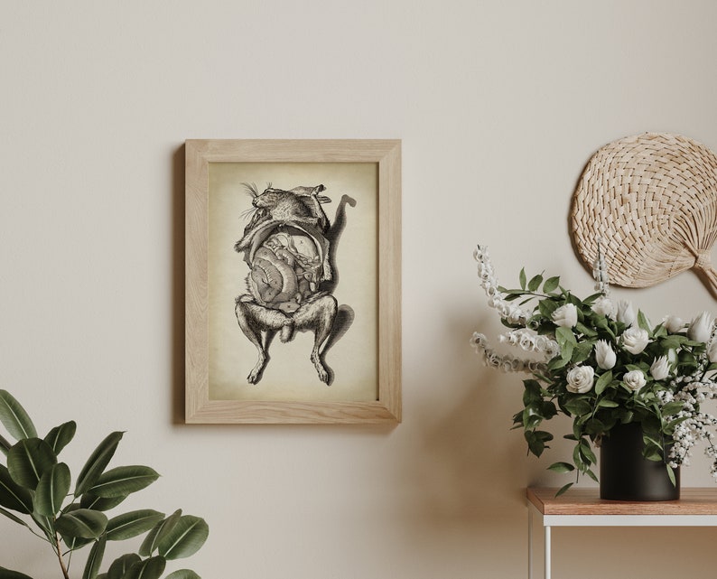 Bizarre Animal ANATOMY Print, Vintage Rabbit Anatomical Poster ...