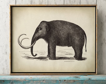 1900 Antique Amazing Deinotherium Color Lithograph Original 