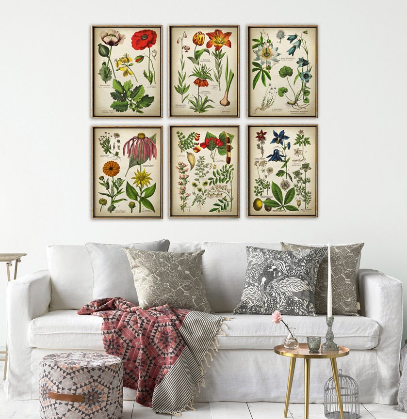 BOTANICAL Wall Decor Print SET of 6 Art Prints Medicinal Etsy