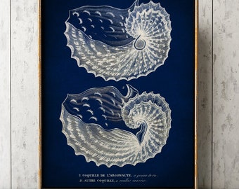 Nautilus Print, Seashell Poster on Navy Blue, Shell Nautical, Sailor Marine, beachy Wall Decor Poster, Shore, Seaside Coastal decor