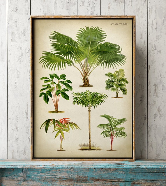 Palm Tree Chart