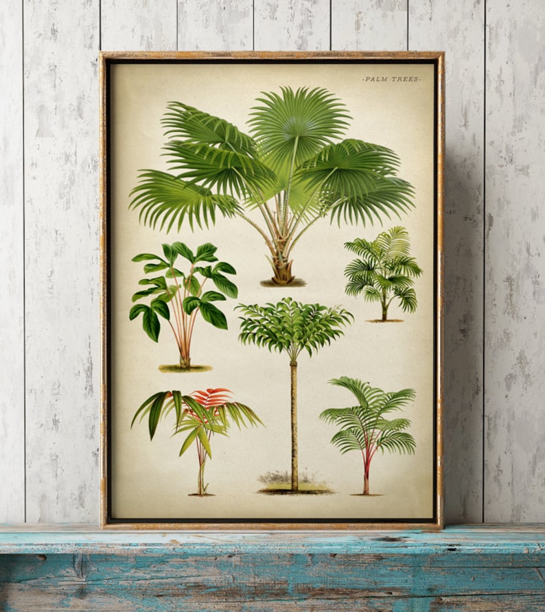 Palm Print Palm Tree Poster Palm Chart Study Poster Palm Etsy