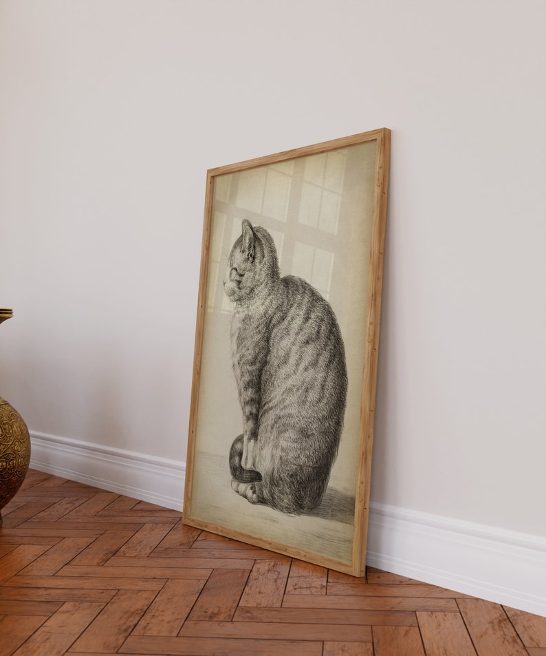 Cat Art Print, Sitting Cat, Pencil Drawing of a Cat Side, Vintage Style, Domestic Cat, Domestic Animal, Aged Cat Illustration Wall Art image 4