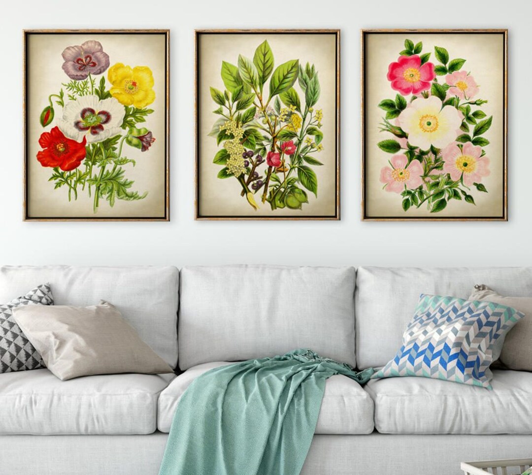 Botanical Print Set of 3: Vintage Wildflower Art - Etsy