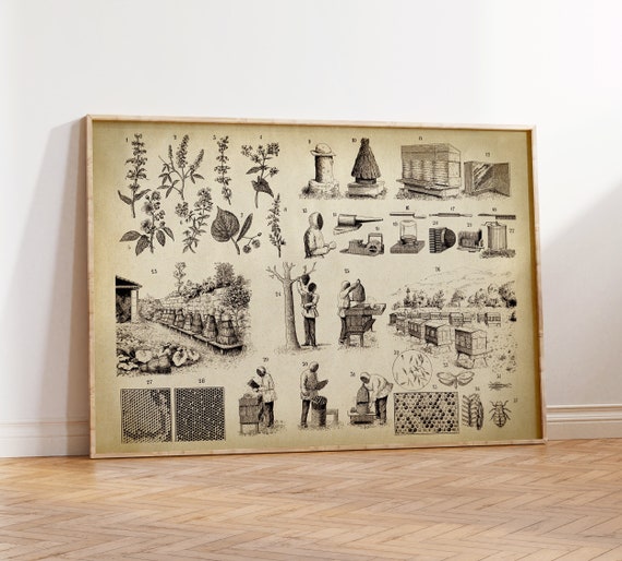 BEEKEEPING Poster Beekeeper Chart Print Apiculture Art - Etsy