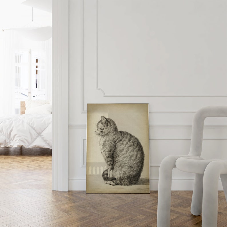 Cat Art Print, Sitting Cat, Pencil Drawing of a Cat Side, Vintage Style, Domestic Cat, Domestic Animal, Aged Cat Illustration Wall Art image 6