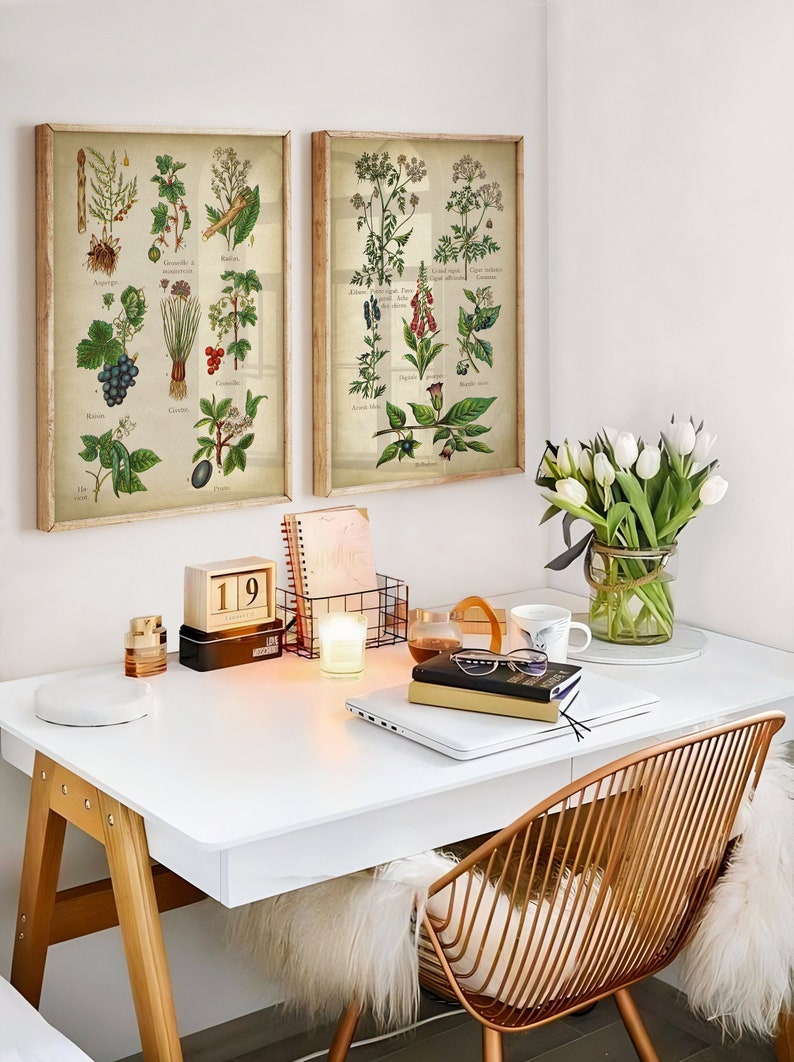 Botanical set of two poisonous and edible plants and flower art prints, in a vintage classical style.