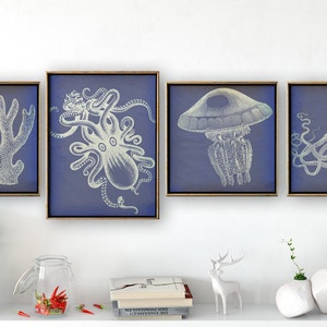 Beachy wall decor, Print Set of 4, Ocean Animals, Nautical art,  OCTOPUS print, Coral, Jellyfish, blue decor, marine life art, coastal decor