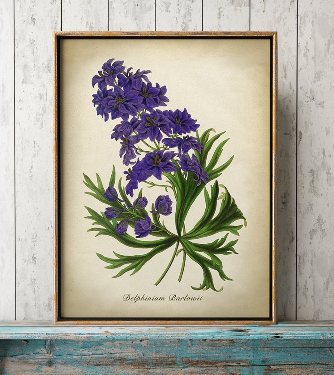 Purple Delphinium BOTANICAL Poster, Flower Print, Botanical Print on ...