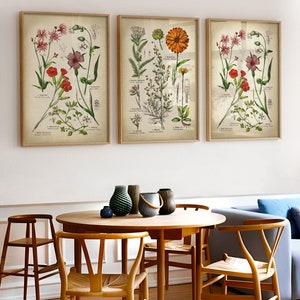 Botanical Print Set: Vintage Medicinal Flower Gallery Wall Art - Etsy