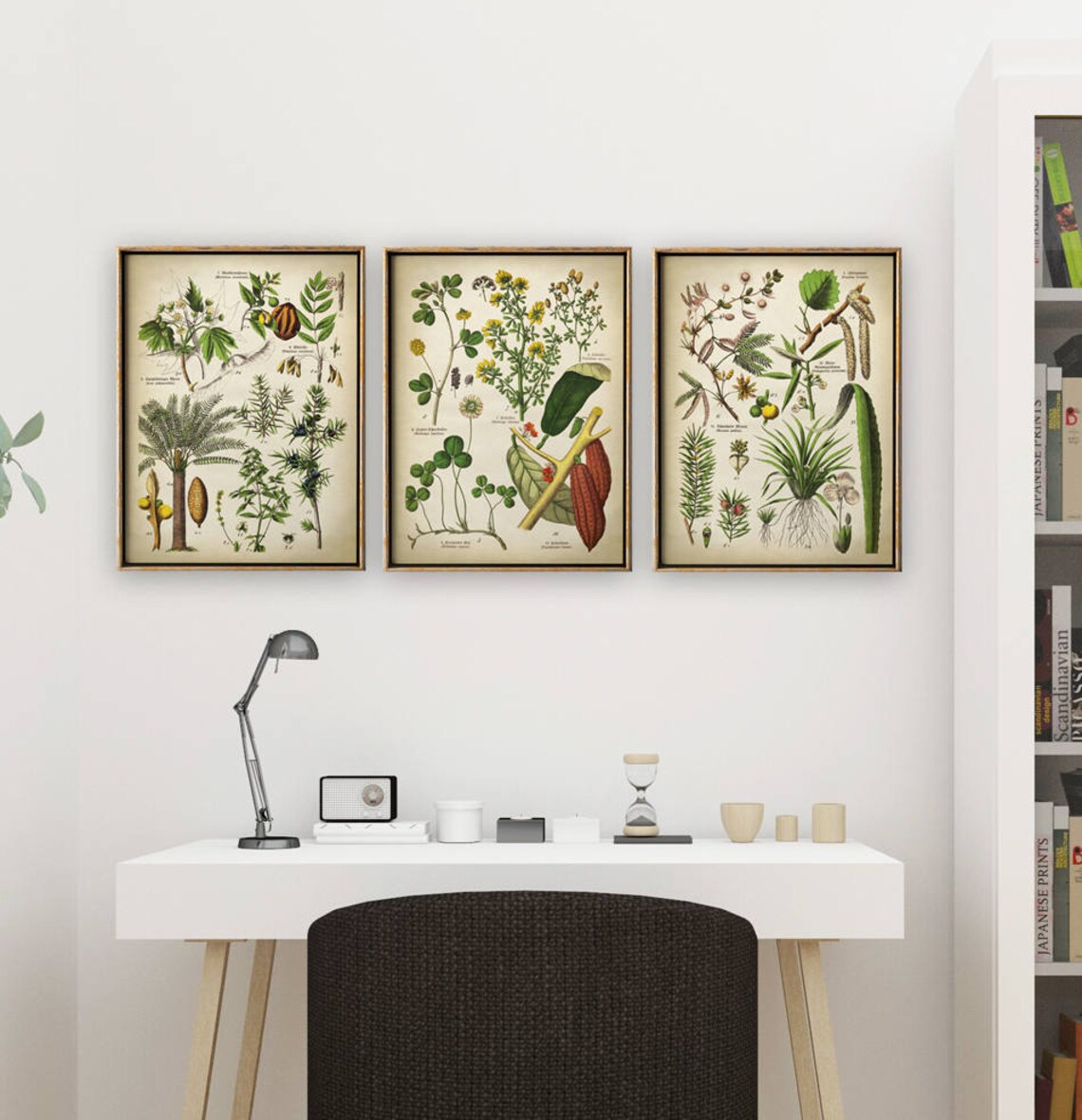 BOTANICAL Print Set of 3 Botanical Set Flower Print Set of Etsy