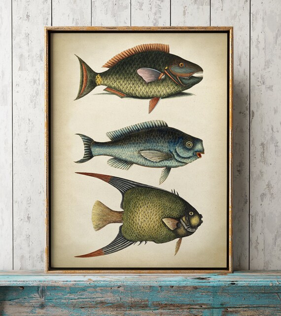 Tableau Déco Moderne, Poster Imprimé Sur Toile, Poissons Sauteurs, Couleurs Vives, 30x42cm