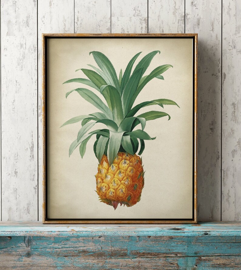 Pineapple botanical print, Pineapple poster, tropical fruit, Pineapple print, Pineapple art decor, botanical art, Fast Track Shipping image 1