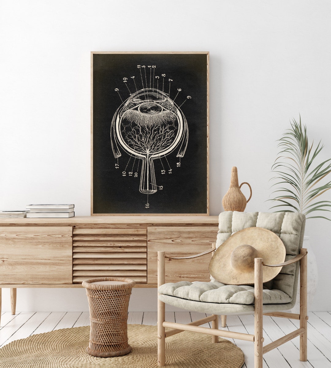 Eye Anatomy Poster, Eyeball Chart, Scientific Illustration, Anatomical ...