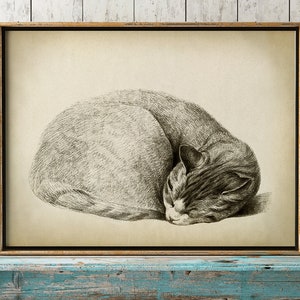 Katzen-Kunstdruck, entspannende schlafende Katze, Bleistiftzeichnung einer Katze, antike Art, Hauskatze, Haustier, gealterte Katze Illustration Wandkunst