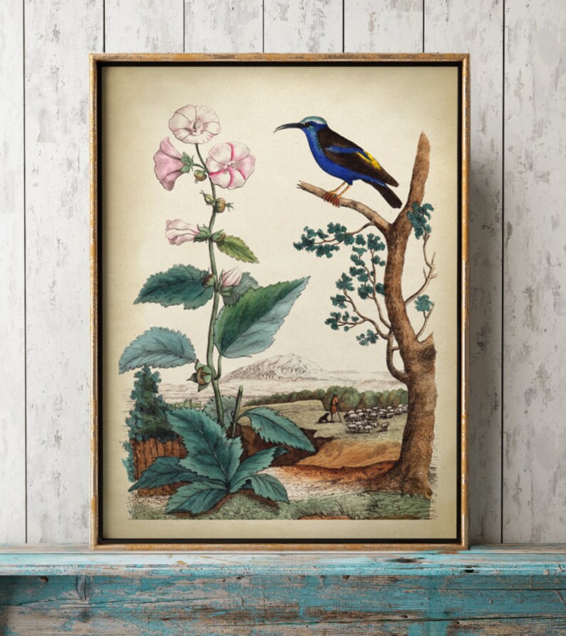 Blue Bird and Flower Print Bird and Country Print Bird Etsy
