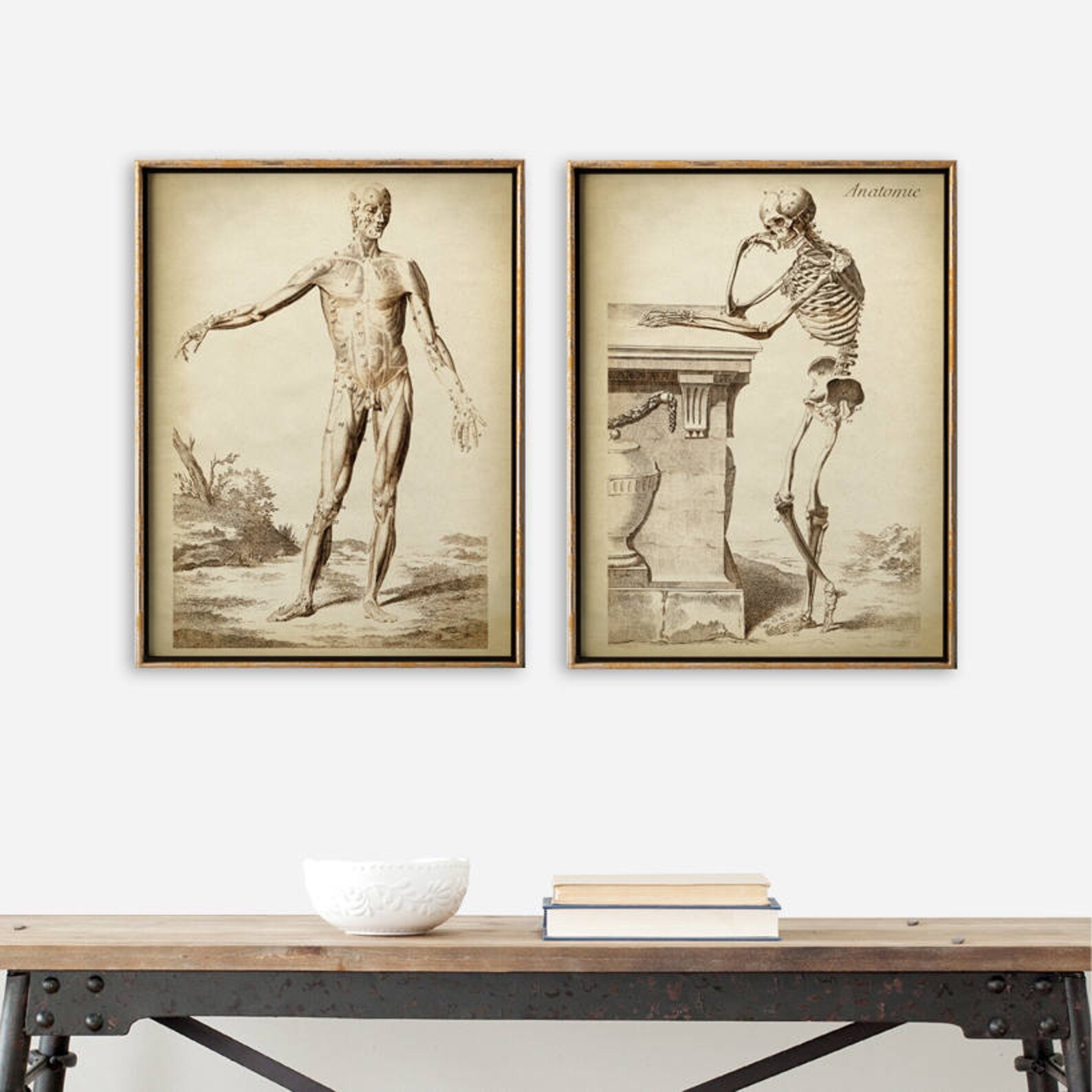 Anatomy Print SET: Antique Human Skeleton, Medical Illustration - Etsy