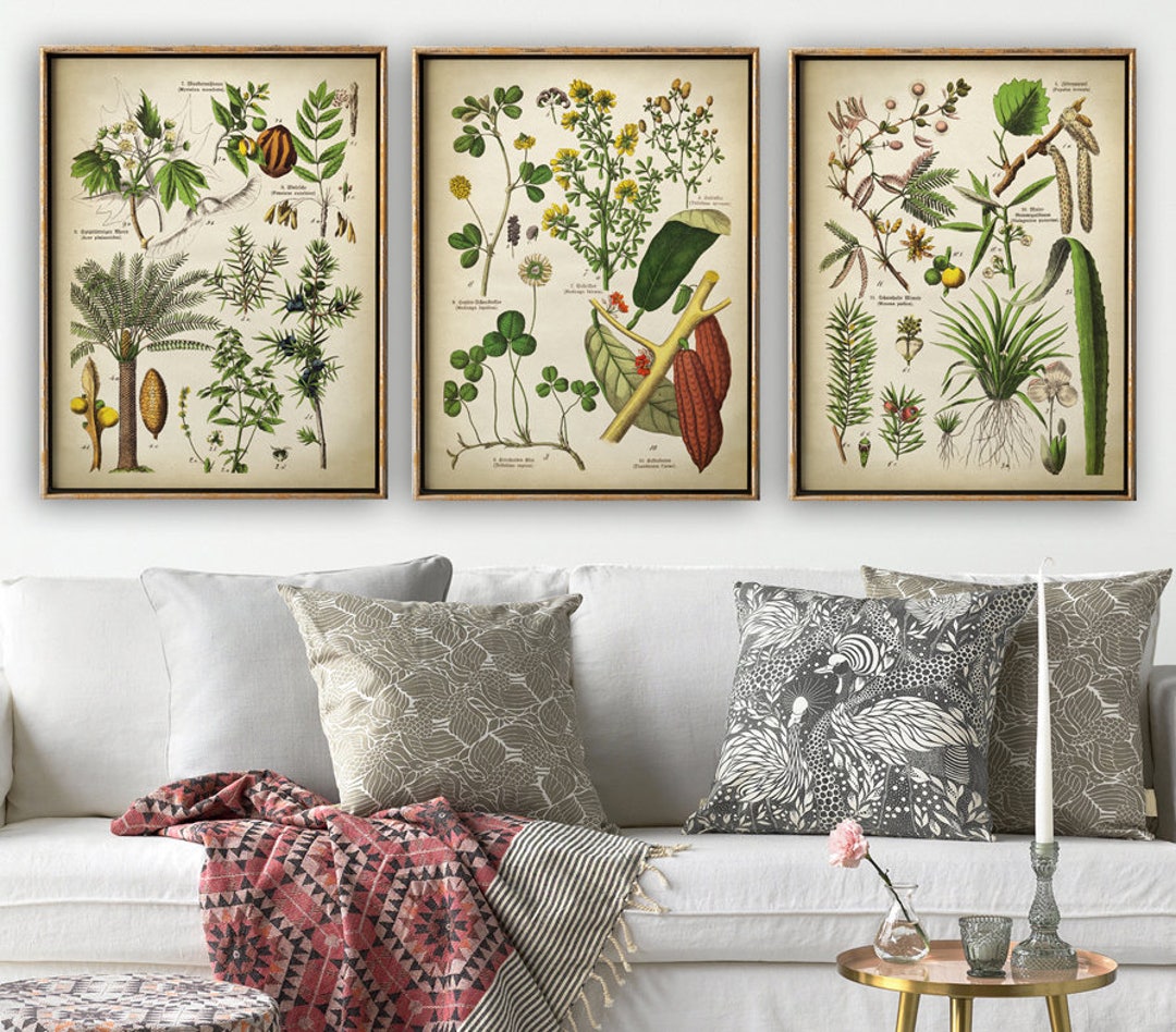 BOTANICAL Print Set of 3, Botanical Set, Flower Print Set of Medicinal ...
