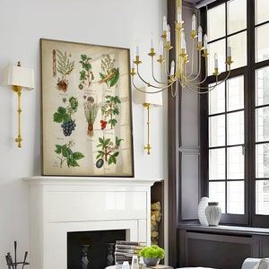 May include: A vintage botanical illustration print featuring various plants and fruits, including asparagus, gooseberries, and grapes. The print is framed in a gold frame and hangs above a white fireplace mantel.