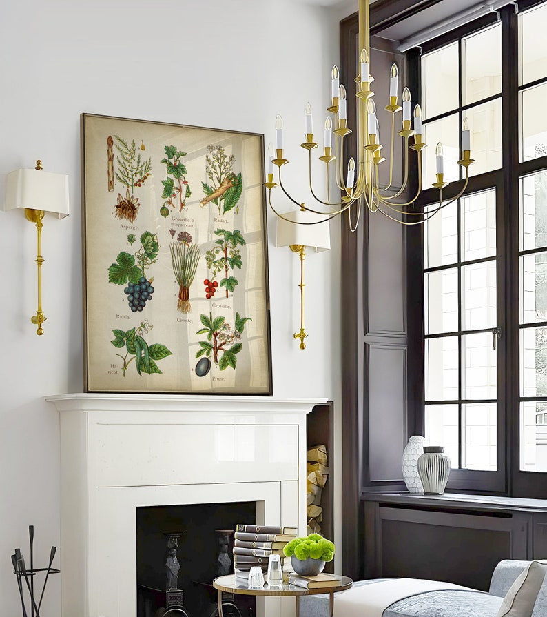 May include: A vintage botanical illustration print featuring various plants and fruits, including asparagus, gooseberries, and grapes. The print is framed in a gold frame and hangs above a white fireplace mantel.