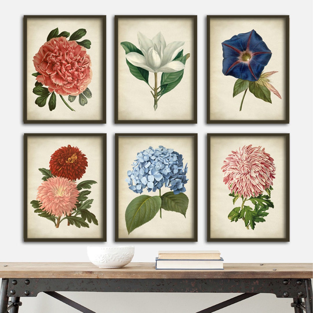BOTANICAL FLOWERS Print SET of 6 Art Prints, Instant Collection ...