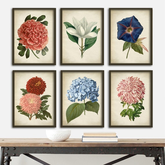 Botanical Flowers Print Set Of 6 Art Prints Instant Image 0