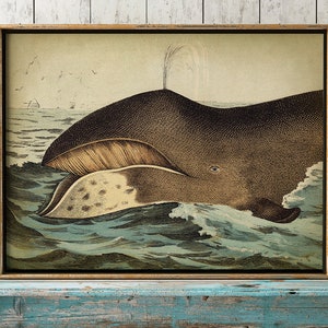 WHALE Poster, Vintage Whale Print, Marine Decor, Nautical Art, Sea Life, beachy decor, Beach Home, Coastal theme, unframed wall art