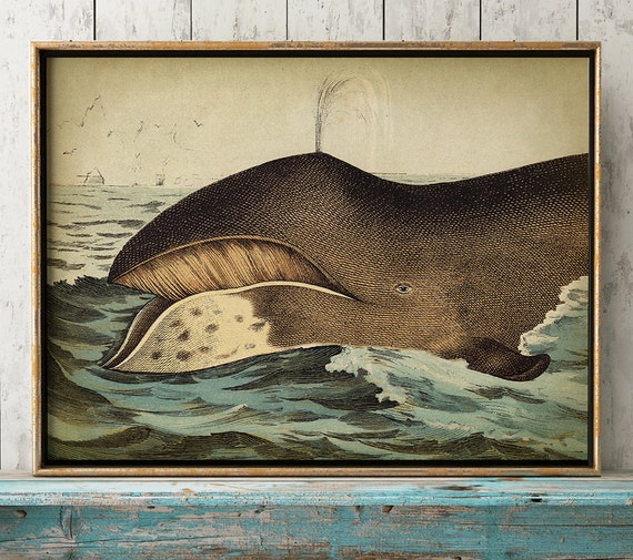 Vintage Whale Painting