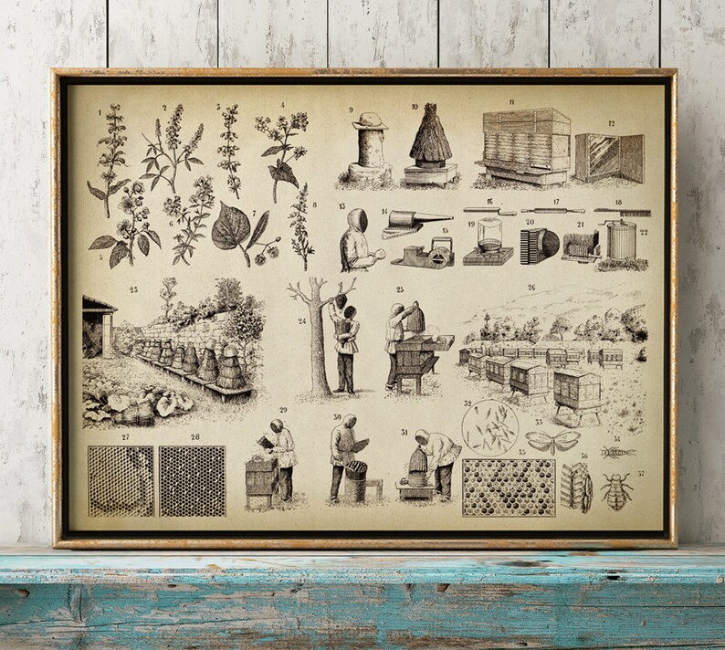 BEEKEEPING Poster Beekeeper Chart Print Apiculture Art | Etsy
