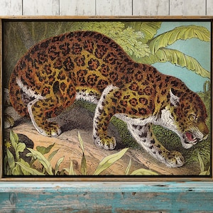 Leopard Print,  Vintage Style Leopard Poster, Wild Cat Drawing, Leopard Picture, Cat Lover Gift,  Animal wall decor Fast Track Shipping