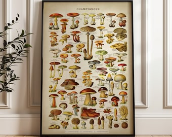 Mushroom Poster: Vintage Adolphe Millot Botanical Art Print