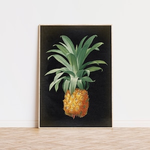 PINEAPPLE Botanical Poster, Tropical Fruit Print, Botanical Print on Aged Black Background, Flower Poster, Kitchen decor,