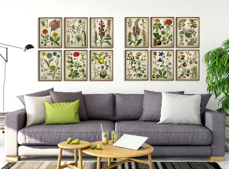 May include: Twelve framed botanical prints showcasing detailed illustrations of diverse flowers and plants. The prints are displayed above a grey sofa, adding a touch of nature-inspired decor to the room.