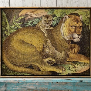 LIONESS PRINT, Amazing Vintage Style lioness with her puppies Poster, Wild Cat Drawing, Female Lion Cubs, Animal Natural History