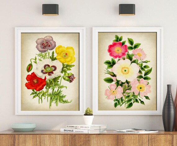 Botanical Print Set: Antique Red Opium Poppy & Roses Poster