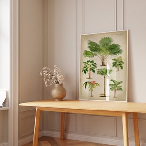 Puede incluir: Una ilustraci&oacute;n bot&aacute;nica enmarcada de varias palmeras, con el t&iacute;tulo "Palm Trees" en la parte superior de la impresi&oacute;n. La impresi&oacute;n est&aacute; colgada en una pared blanca sobre una mesa de madera.