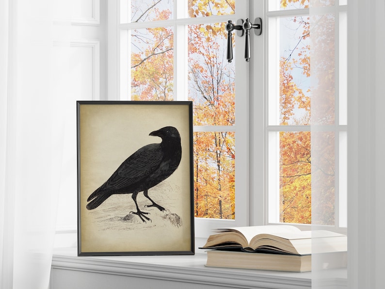 Black Raven Print, vintage aesthetic, black Crow art print, Bird, Gothic Decor, fall decor, winter Wall Art image 1