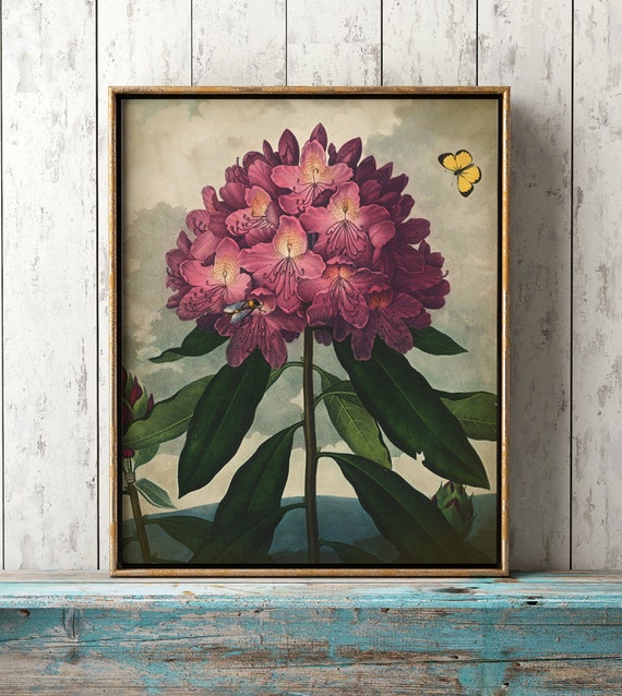 Pink Flowers Poster