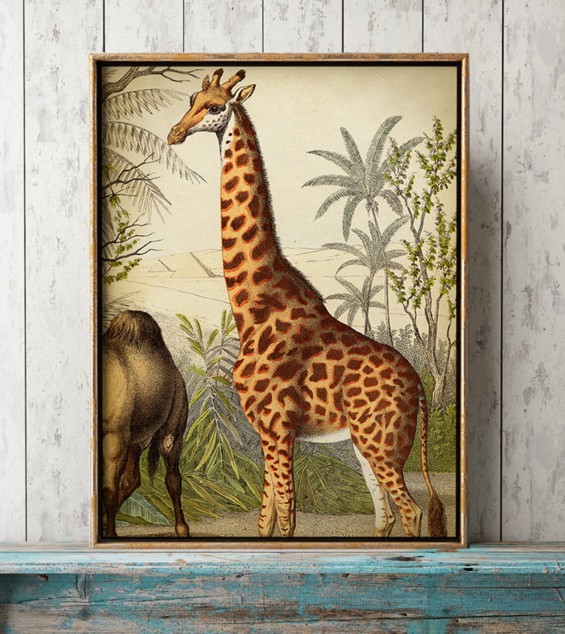 Vintage ANIMALS PRINT conjunto de 4 Wild Jungle Animals Etsy