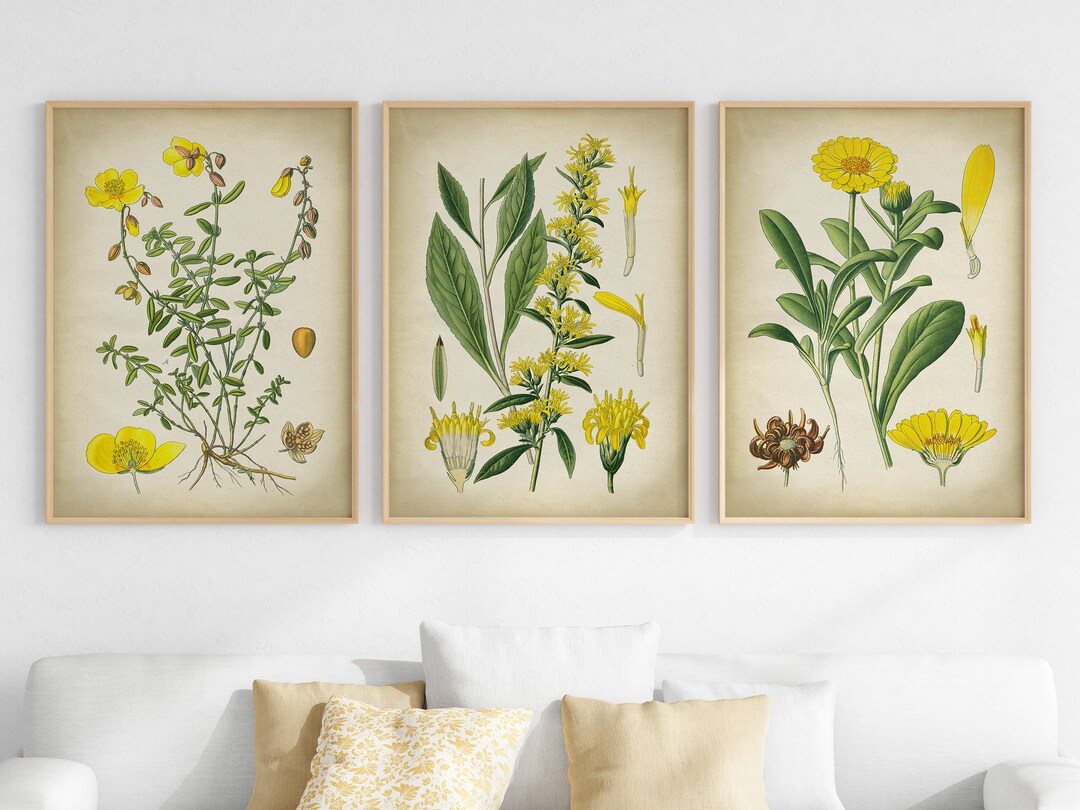 Yellow Flowers Botanical Print Set: Vintage Farmhouse Wall Decor - Etsy