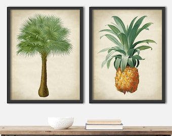 Könnte beinhalten: Zwei gerahmte botanische Drucke mit einer Palme und einer Ananas. Die Drucke haben eine Vintage-Ästhetik und sind auf cremefarbenem Hintergrund gedruckt.
