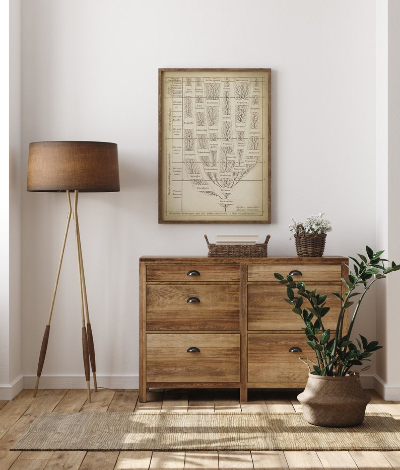 May include: A vintage botanical illustration of a tree with branches and leaves, printed on a beige background and framed in a brown wood frame. The print is hanging on a white wall above a wooden dresser with six drawers. A potted plant and a basket of books are on top of the dresser.