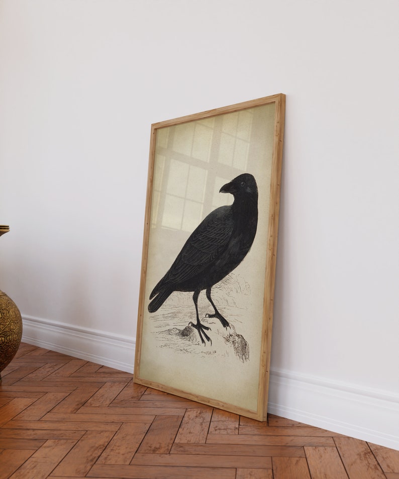 Black Raven Print, vintage aesthetic, black Crow art print, Bird, Gothic Decor, fall decor, winter Wall Art image 4
