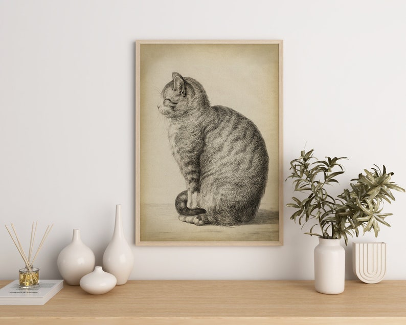 Cat Art Print, Sitting Cat, Pencil Drawing of a Cat Side, Vintage Style, Domestic Cat, Domestic Animal, Aged Cat Illustration Wall Art image 1