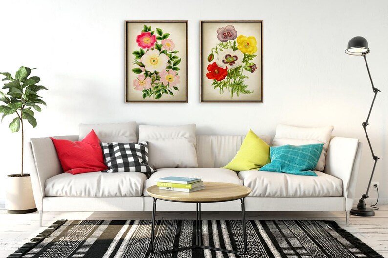 May include: Two framed floral prints with white, pink, red, and yellow flowers on a white background. The prints are hanging on a white wall above a white couch with colorful throw pillows.