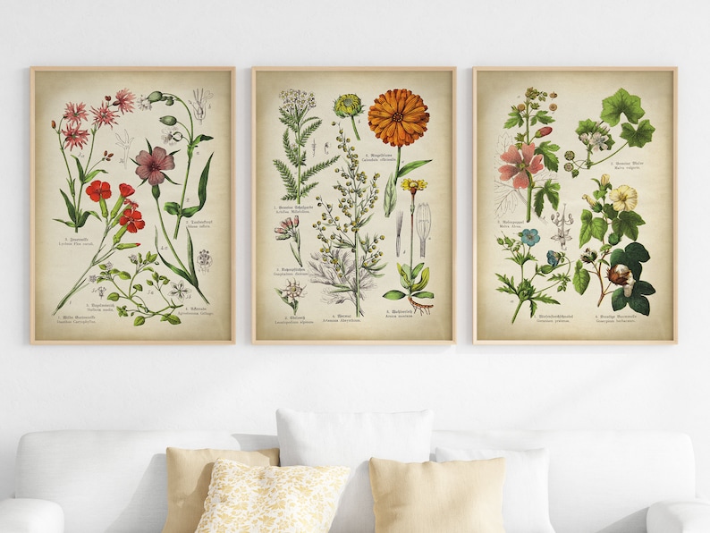 Botanical Print Set: Vintage Medicinal Flower Gallery Wall Art - Etsy
